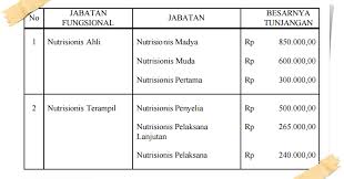 Contoh soal tes skd dan skb. Ini Dia Besarnya Tunjangan Jafung Nutrisionis Atau Ahli Gizi Murad Maulana