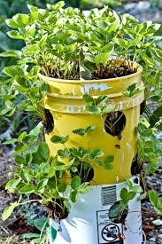 Check spelling or type a new query. 30 Diy Tower Garden Ideas To Grow Plants Vertically The Self Sufficient Living