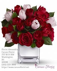 Arlington's family florist provides commercial custom floral designs for all of washington's venues. Best Florist In Alexandria Virgina Caruso Florist