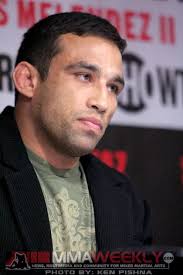Will Fabricio Werdum be Back in the UFC?