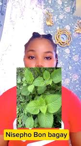 Siw toujou gen estomak fèmal.ak Fey gwo ten ,pòm.detè ou deja geri