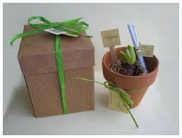 Per il vostro matrimonio solidale scegliete una bomboniera originale, la matita sprout, la matita con seme da piantare ecosostenibile. Bomboniere Matrimonio Semi Da Piantare Bomboniera Bustina Con Semi Misti Da Piantare Legambiente Tutti Sono Alla Ricerca Di Semi Di Fiori Come Bomboniere E Proprio Per Questo Motivo Noi