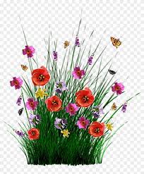 We did not find results for: Field Of Flowers Png Transparent Png 1024x1187 385951 Pngfind