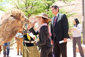 The grand canyon is 277 miles (446 km) long, up to 18 miles (29 km). New York Artist Takes 30 Day Ride With Camel And Horse Through Navajo Nation To The Grand Canyon In Honor Of Women Williams Grand Canyon News Williams Grand Canyon Az