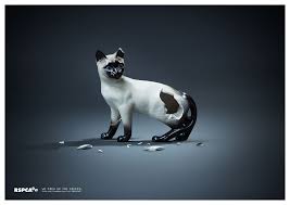 Evocative Print Ad From The Rspca Cats Marketing Advertising Cats Cat Print Print Ads