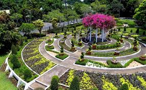 A complete service managed by horticulturalist experts. Uplb Establishes Two Foodscaping Demo Gardens Agriculture Monthly