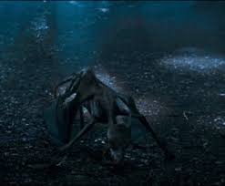Check spelling or type a new query. Thestrals Harry Potter Wiki Neoseeker