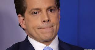 Lee Shoulders (@lee_shoulders)