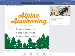 Pin By Debbie Blake Kelley On Essential Oils Diffuser Blends Doterra International Doterra