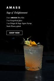 sage of enlightenment cocktail recipe in 2021 alcohol drink recipes drinks alcohol recipes mixed drinks recipes