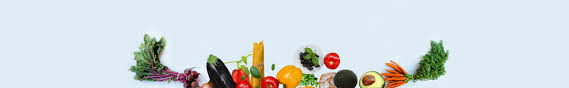 Dietetic Internship Program Program Description Lehman College