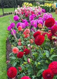 Pin On Gardens