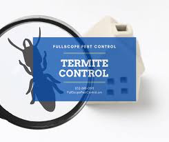 235 fm 1960 bypass rd. Termites Or Ants Can You Tell The Difference Fullscope Pest Control