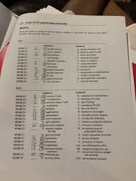 Solved 3 Chapter 22 The Lymphoid System And Immunity Chegg Com