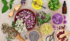 Create cool combos of flowers and vegetables. Growing Plants Flowers And Herbs For Skincare Lovely Greens