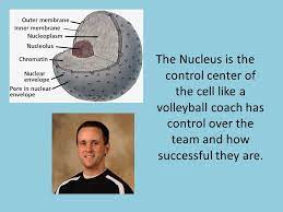 Check spelling or type a new query. Cell Volleyball Team Kendall Jones D Dyer Ppt Video Online Download
