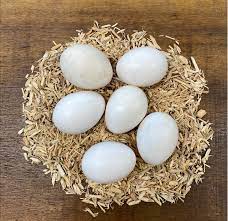 Choose from up to 5 unique, high quality paper types to meet your creative or business needs. 6 Silver Spangled Hamburg Hatching Eggs Higher Oak Farm