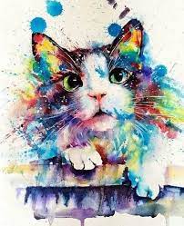 Colorful Splash Cat Animals Paint By Number Numeral Paint Watercolor Cat Colorful Art Cat Painting