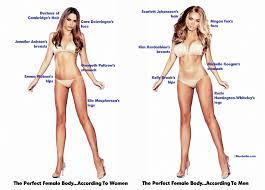 Everybody's bodies are different, but there are some basic parts that are the same. Perfect Body According To Men And Women Bluebella Lingerie Survey Time