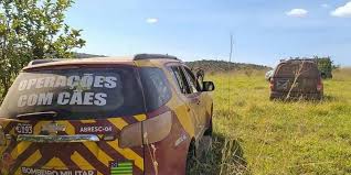 No vídeo abaixo o momento em que o assassino foi colocado na viatura do corpo de bombeiros, aparentemente desacordado. Cadela Que Esteve Em Brumadinho Participa De Buscas A Lazaro Veja Fotos