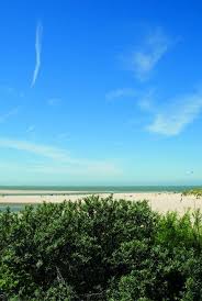 Homepagina Zwinhoeve Zwinhoeve Reisen Camping