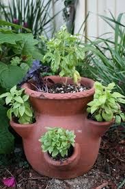 Check spelling or type a new query. Awesome 10 Containers Herbs Garden Ideas Https Gardenmagz Com 10 Containers Herbs Garden Ideas Container Herb Garden Planting Herbs Herb Garden