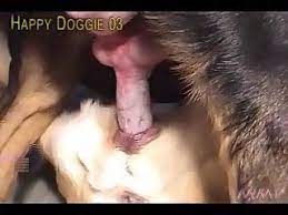 Gay animalporn