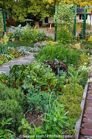 Ornamental Edible Garden Mixed Bed Of Herbs Vegetables And Flowers Between Paths In Rosalind Creas Front Yard Garden Design Front Yard Garden Garden Planning