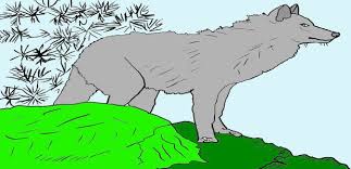 For boys and girls, kids and adults, teenagers and toddlers, preschoolers and older kids at school. Wolf Coloring Pages