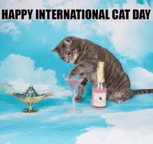Aug 08, 2020 · august 8 is international cat day — a day to celebrate one of man's most common and ancient pets. National Cat Day Gifs Tenor