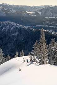 We did not find results for: 10 Best Snowshoe Hikes In Western Washington Seattle Met