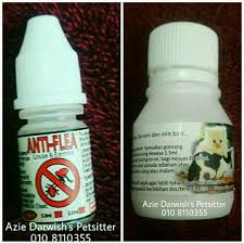 Garlic balm melegakan selsema dan. Ubat Kutu Dan Ubat Selsema Kucing Pet Supplies Pet Accessories On Carousell