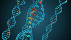 Image result for Oncogene