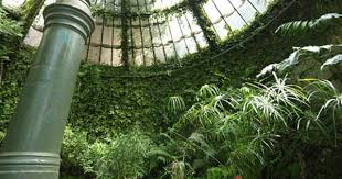 Real Jardin Botanico De Madrid Pagina Principal Real Jardin Botanico Jardin Botanico Madrid Jardin Botanico