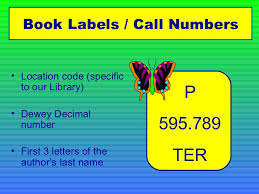 Searching For Books Dewey Decimal System