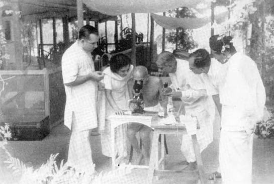 Mahatma Gandhi Photo Gallery - 1933 to 1948 | Life chronology of Mahatma Gandhi