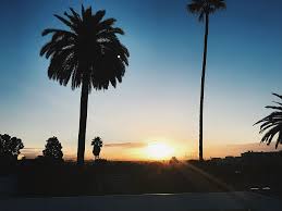 Maybe you would like to learn more about one of these? Hd Wallpaper United States Beverly Hills Hotel Beverly Terrace Usa City Wallpaper Flare