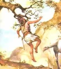 So joab sent someone to tekoa and had a wise woman brought from there. Absalom David S Son Face Lines Sons Tree Watch