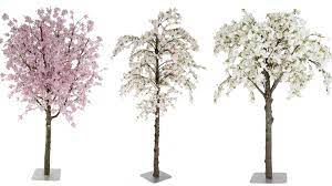 bloesem bomen groot of klein info decoratietakken nl www decoratietakken nl bloesembomen planten bloesem