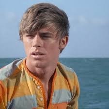 Who wasn’t in love with Luke Halpin when we were teens?, I didn’t see the  “Flipper” series (1964-1967), let alone the movies “Flipper” (1963) and  “Flipper’s New Adventure” (1964), until the ‘70s, but ...