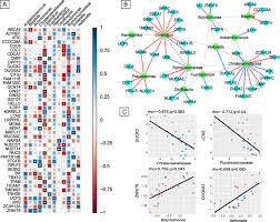 Get the facts on colon cancer (colorectal cancer) signs, symptoms, causes, prognosis in these syndromes, colon cancer develops without the precursor polyps. Interactions Between Genes Associated With Colorectal Cancer And Gut Download Scientific Diagram