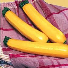 Zucchini Tricks Fur Eine Reiche Ernte Gemuse Pflanzen Zucchini Pflanzen Gemuse Anpflanzen