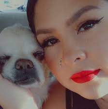 How to feed fruit flies to jumping spiders without them escaping?