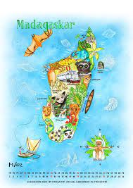To find information on the baggage fees applicable to any flight, enter your trip information into the search box. Kalender Illustrierte Inseln 2017 Madagaskar Illustrierte Landkarte