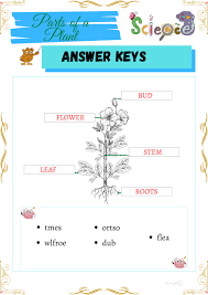 At the start of the printable pack, you will find two printable. Grade 1 Science Worksheets Parts And Cycle Of Plants