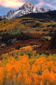 Pin On Beautiful World