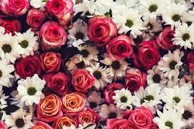 41.) i'm constantly thinking of how beautiful and fine you are. 85 Quotes About Flowers Inspirationfeed