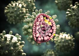 Common ways that hbvcan spread are: Hepatitis B Symptome Ansteckung Inkubationszeit Was Tun