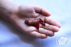 We did not find results for: Pet Betta Free Stock Photo Dead Betta Fish Royalty Free Animal Stock Image