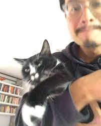 RIP Jean Luc: my lil man, my space thief, my yung fella, my BFF (best  frenemy 4ever) , It’s been such a joy with u the past 9 years showing you  Big Sur, the Redwood forest, Sedona, Tulsa, Joshua Tree, ...